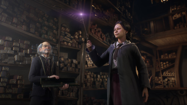 Hogwarts Legacy Completion and Updates Hub