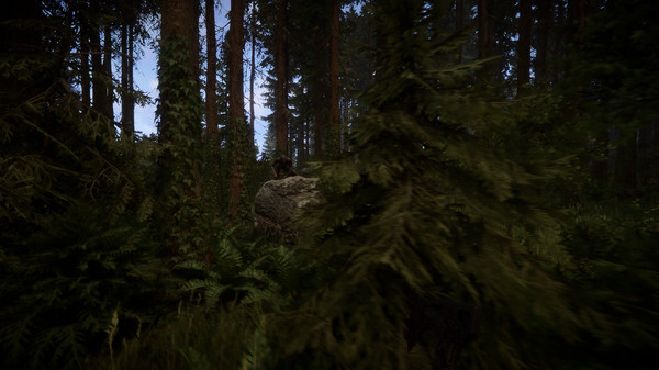 Sons Of The Forest Companion And Base Video Guide